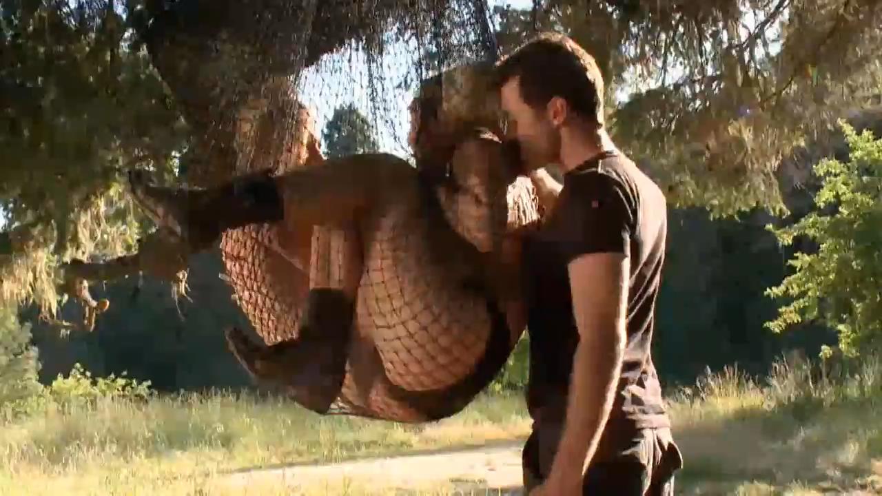28769.mp4_20210612_113454860.jpg