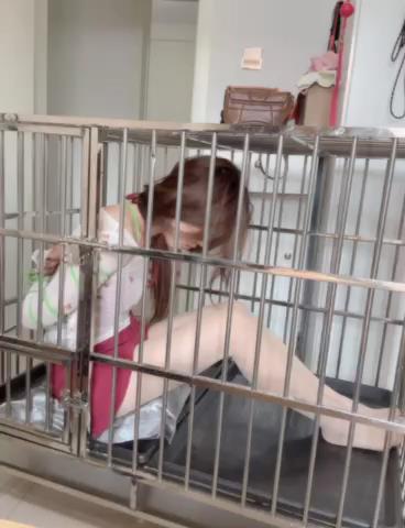 皖北绳艺 绳艺笼[00_18_36][20250111-093302].jpg