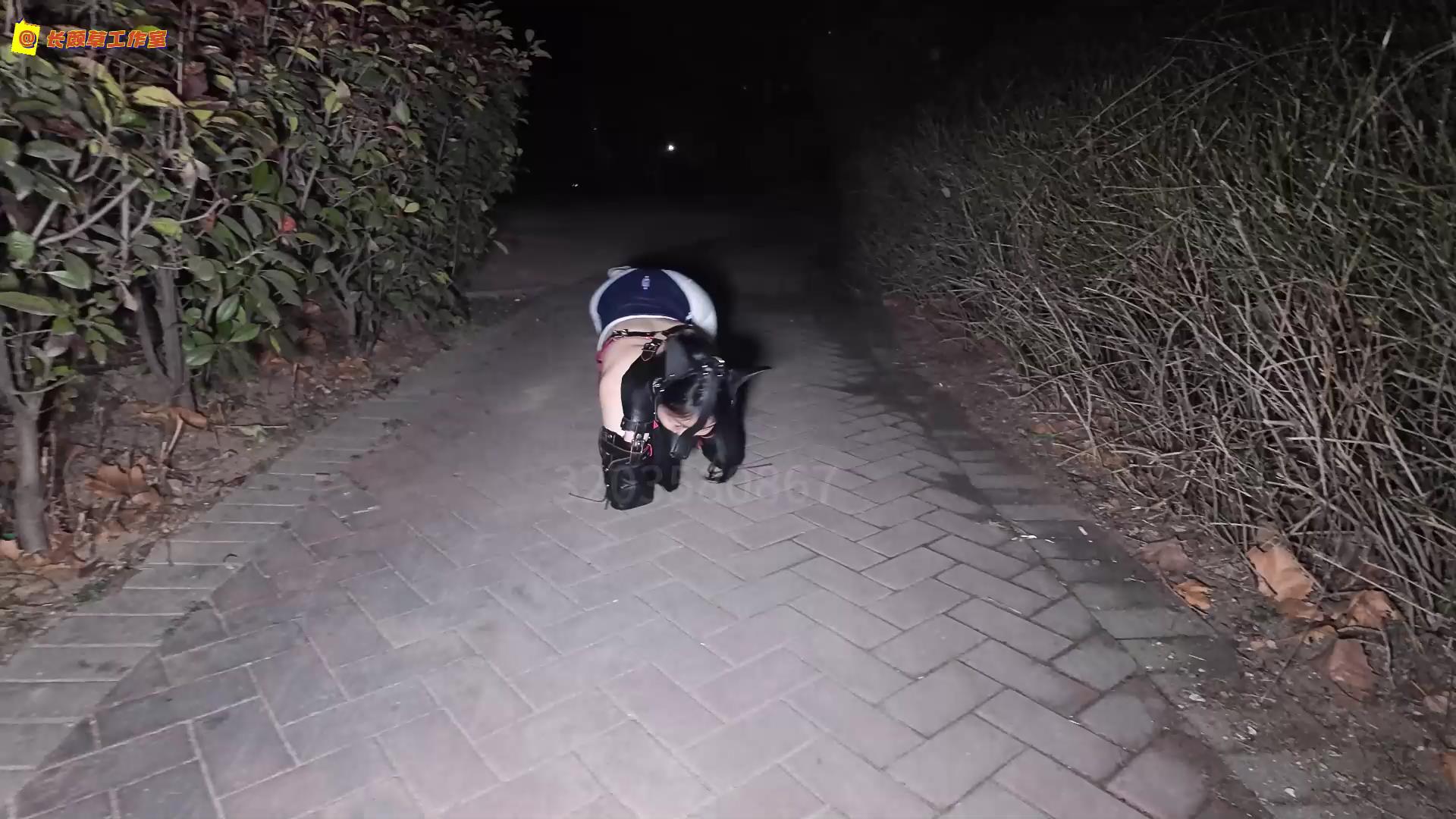 长颜草 公园里的人形犬 霜喵k9户外遛狗[00_06_55][20250504-102436].jpg