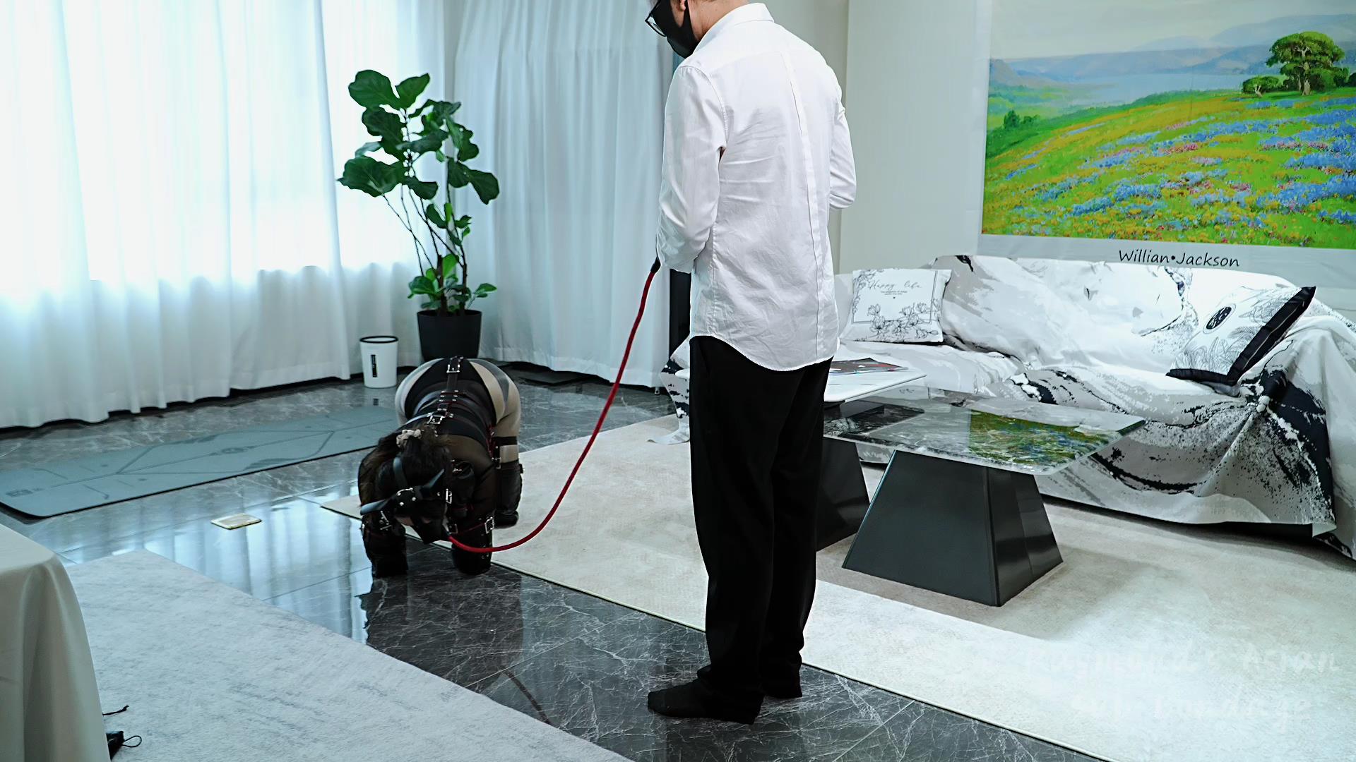 Raymond 宠物托管员的奇遇 第一集[00_02_56][20250711-143435].jpg
