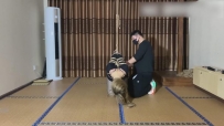 【山鬼工作室】酒酒被绑成直臂