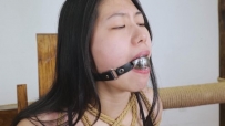 【焱火工作室】清岚（云兮）皮衣皮裙 多种口球流口水